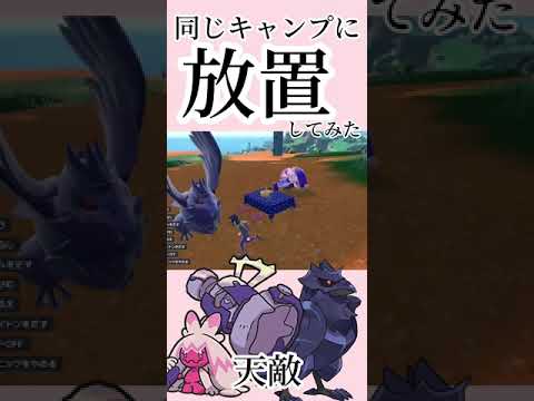 天敵であるアーマーガアとデカヌチャンでピクニックしてみると？！#ポケモンsv #shorts