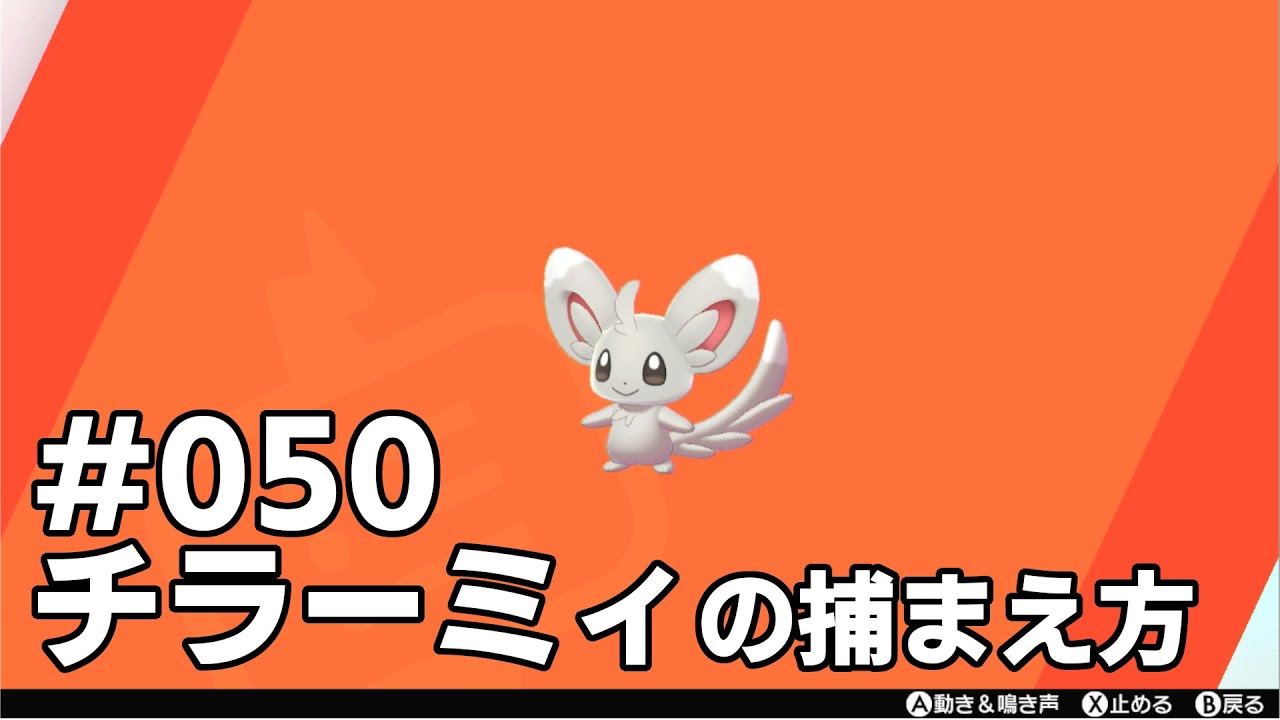 チラーミィを探している方に見てほしい動画