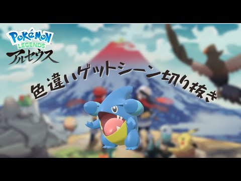 【アルセウス】フカマルの色違い可愛すぎる・・・・。#short