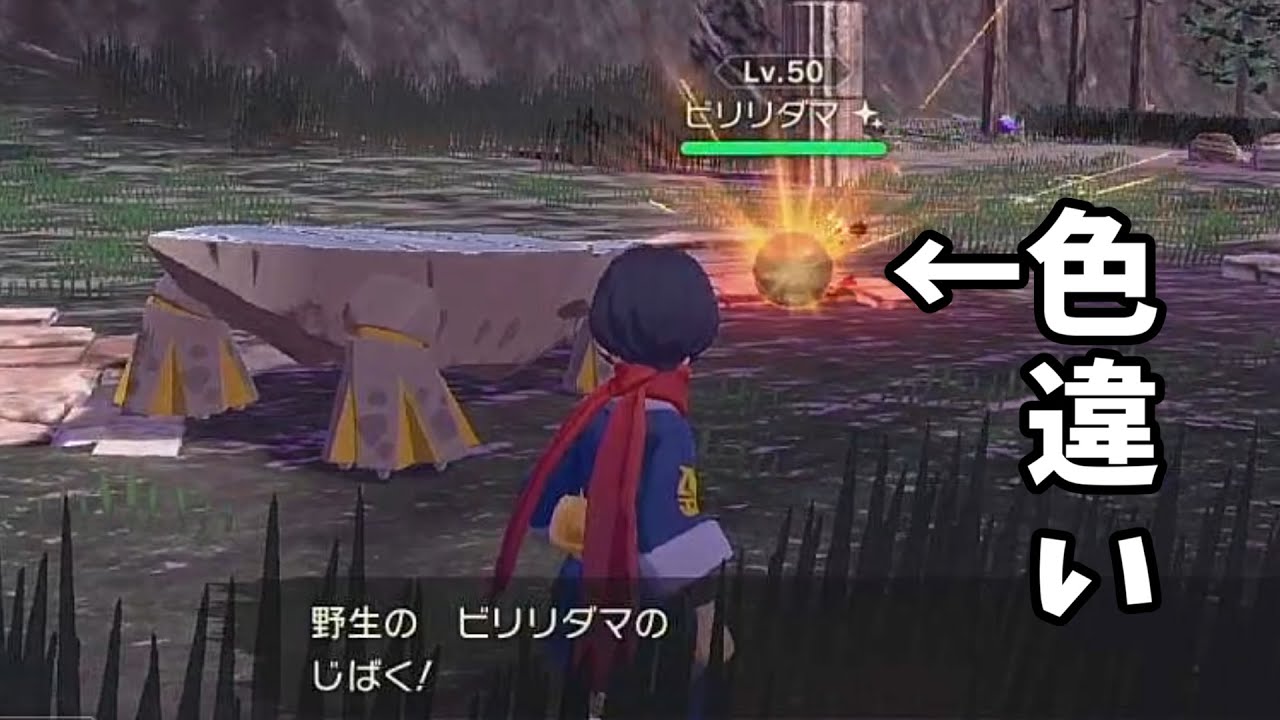 【ゆっくり】みんなもヒスイビリリダマの色違い厳選をするときは気を付けよう