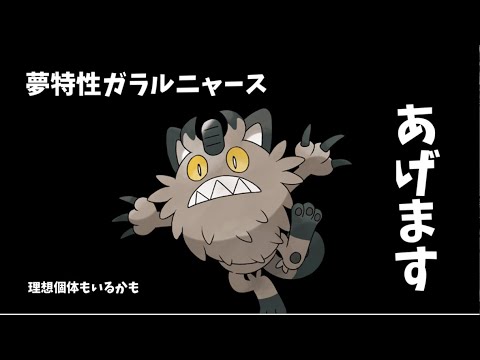【ポケモンSV】夢特性ガラルニャース配布します。【参加型】W杯見てます。