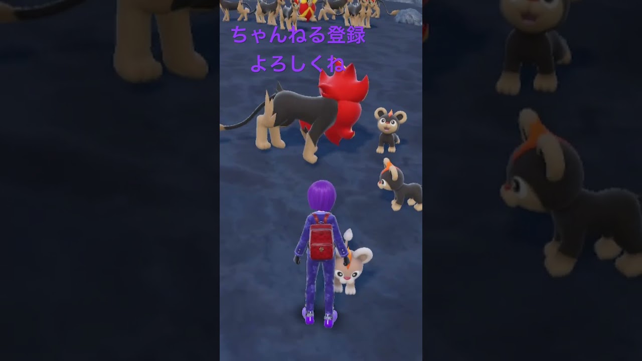 色違いシシコ、オスでない #ポケモン #ポケモンsv #色違い #pokemon #shiny #gameplay