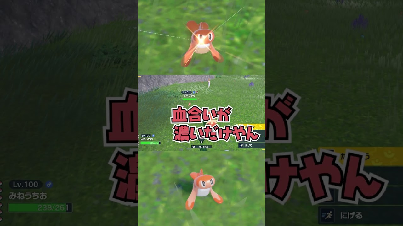 【ポケモンSV】色違い遭遇シーン #14 (ヘイラッ)シャリタツ #shorts