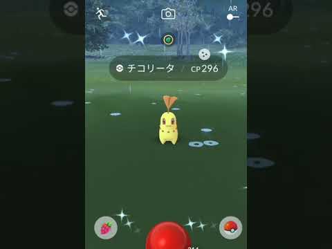 【ポケモンGO】9/22 色違い チコリータ＠コミュデイ