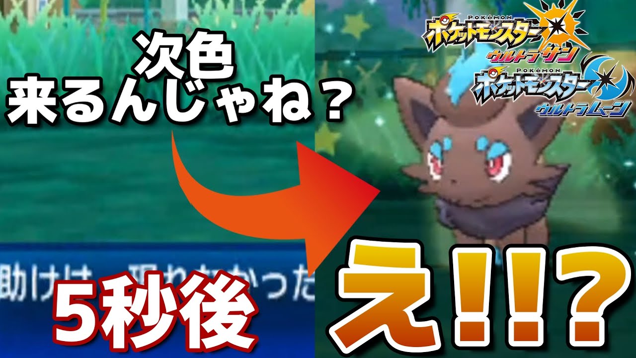 色違いゾロアが来るのを予言した男。【ポケモンUSUM】🦕