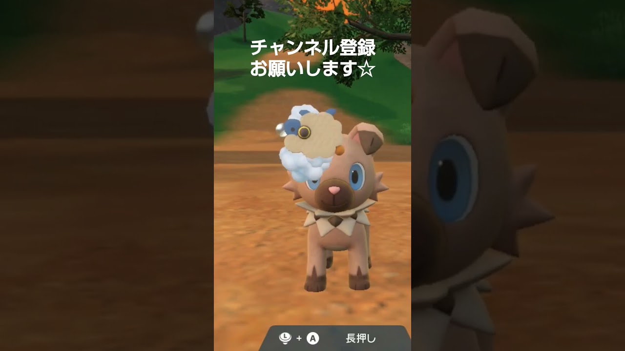 ポケモンSV 寝てるイワンコを、起こしてシャワーしてあげたら、頭に音符がでた