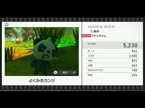 Newポケモンスナップ　★1ヤンチャム【5230】