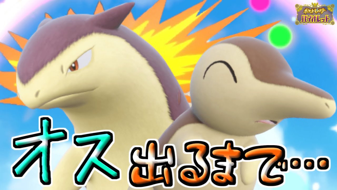 最強バクフーンを倒して色違いヒノアラシの「オス」が出るまで… 【ポケモンSV】