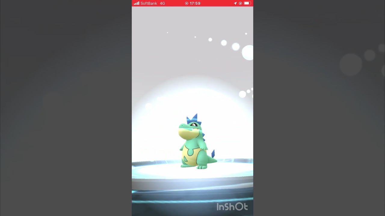 色違いのワニノコをオオダイルに進化させてみた！ #ポケモンgo #pokemongo #色違い #shorts