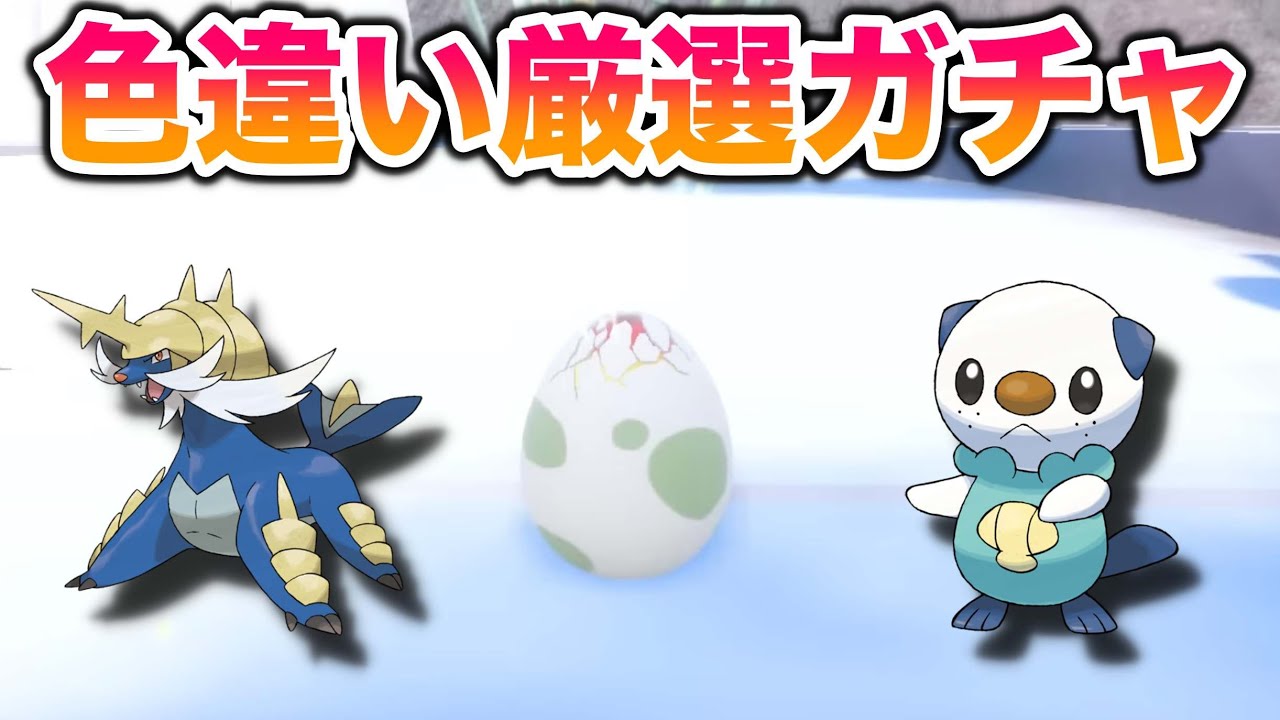 【神引き】タマゴガチャで色違いダイケンキ(ミジュマル)を秒で引き当てる配信【ポケモンSV/スカバイ】