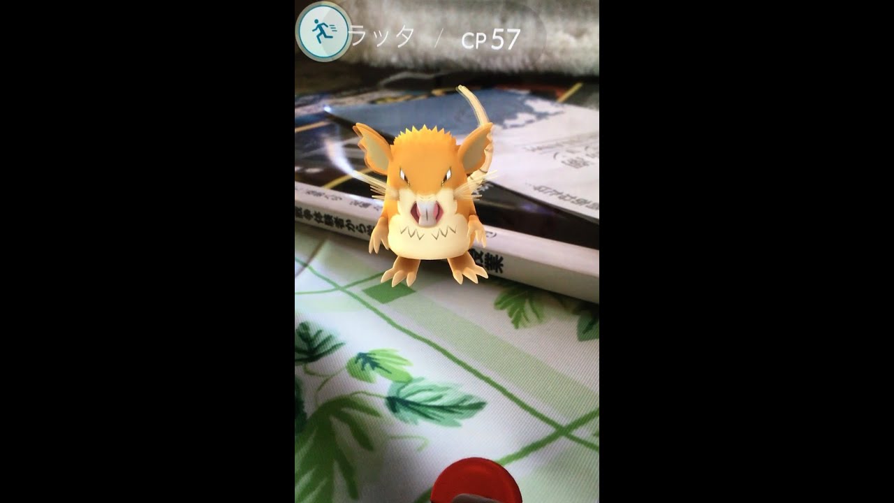 ポケモンGO ラッタGET