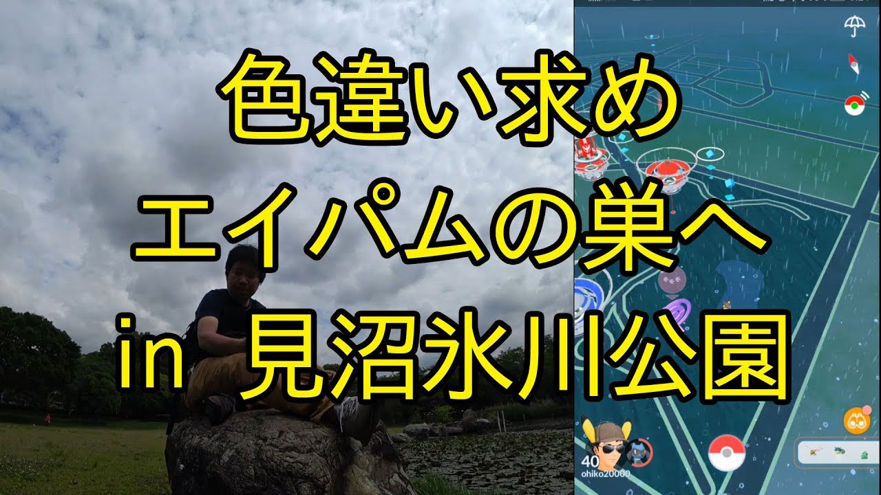 【ポケモンＧＯ】エイパムの巣の見沼氷川公園へ