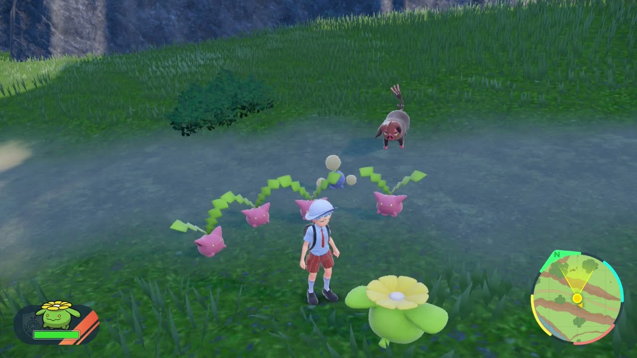 ハネッコと話す