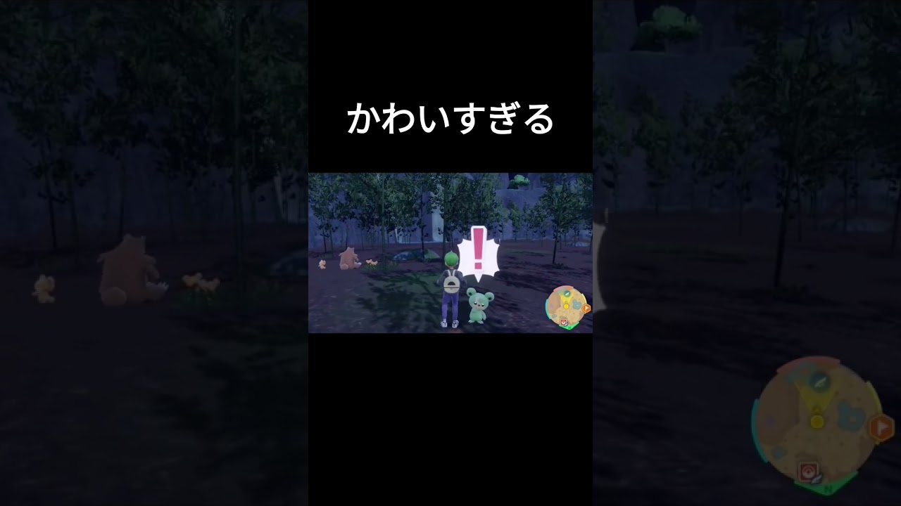 色違いヒメグマ出現シーン【ポケモンＳＶ】【サンドウィッチ色違い厳選】