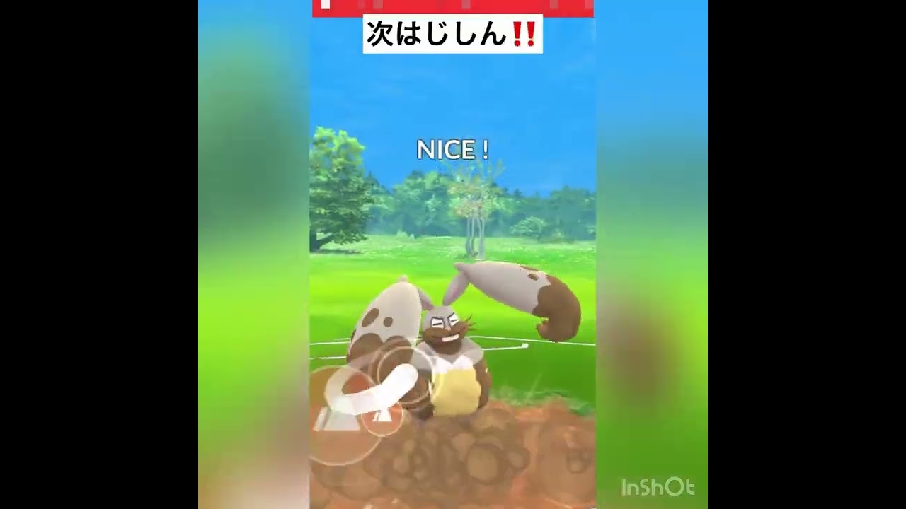 初手Sニドクイン‼️