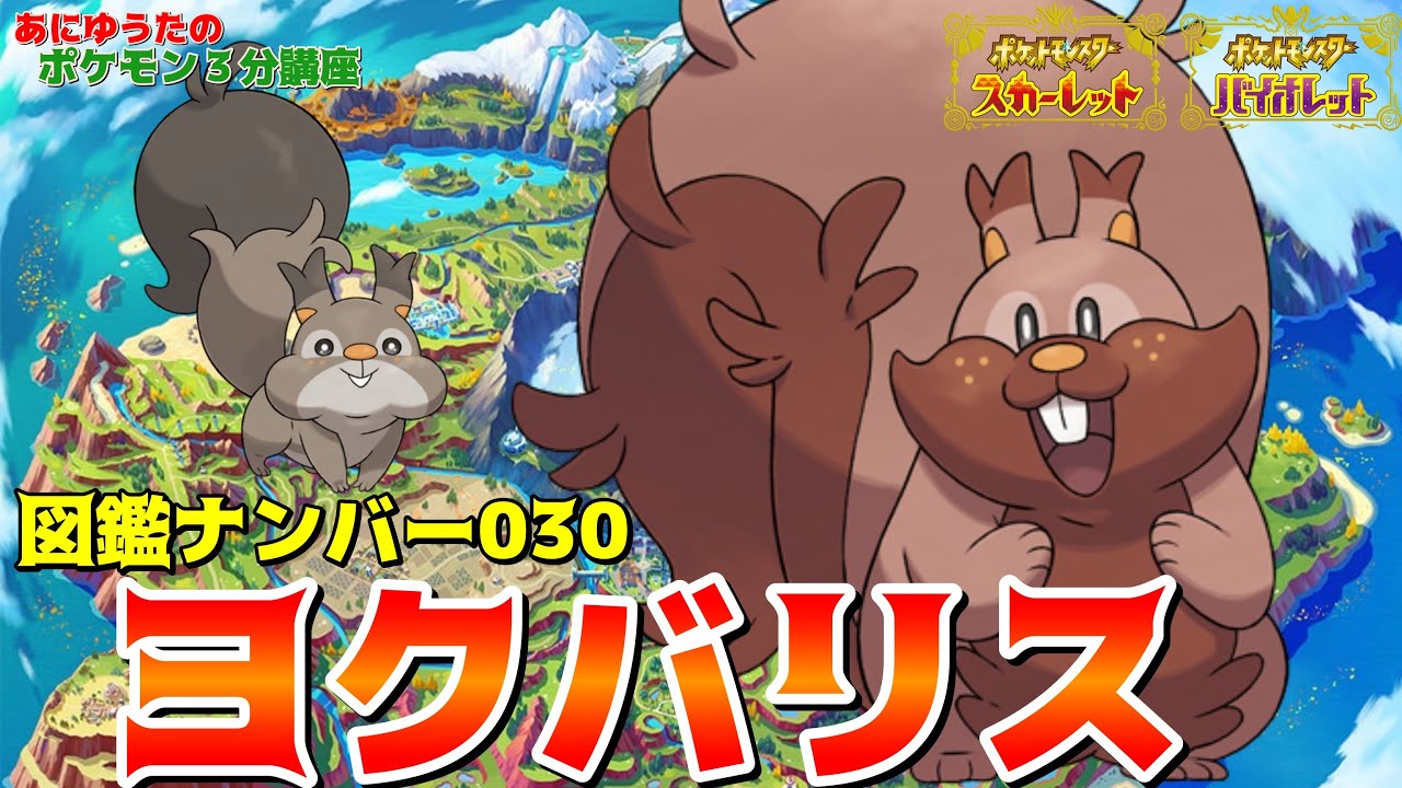 【ポケモン3分講座】パルデア図鑑No30 ヨクバリス・ホシガリス【ポケモンSV】