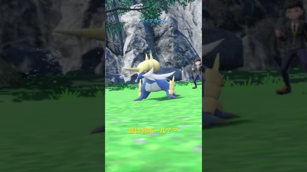 ダイケンキはこのボール #shorts #ポケモン #ポケモンsv