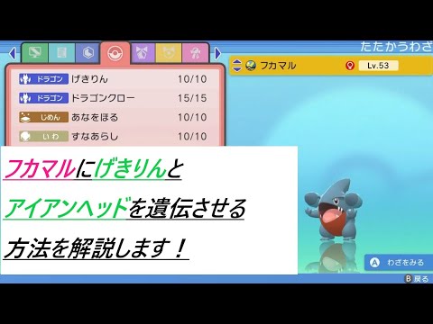 【ポケモン　ダイパリメイク】フカマルにげきりんとアイアンヘッドを遺伝する方法！【ポケモンBDSP】【ブリリアントダイヤモンド】【シャイニングパール】