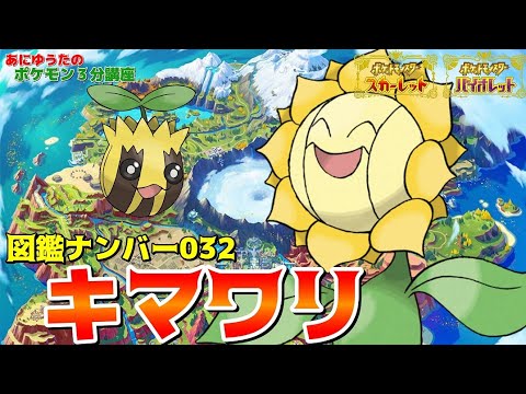 【ポケモン3分講座】パルデア図鑑No32 キマワリ・ヒマナッツ【ポケモンSV】