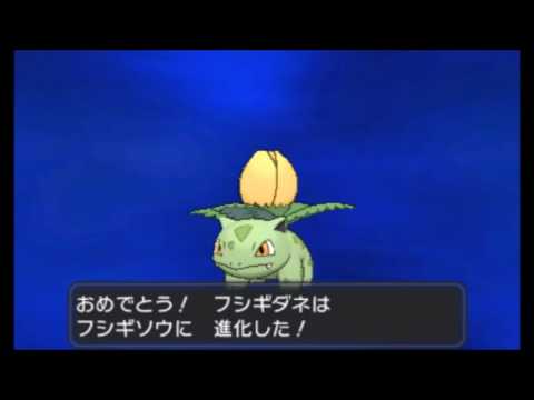 【国際孵化】色違いフシギダネの孵化～最終進化まで