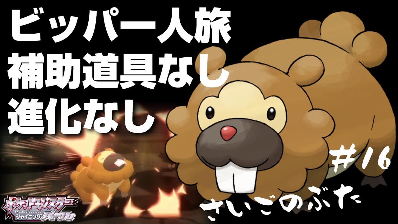 ビッパと旅するポケモンダイパリメイク#16【豚、最後の闘い】