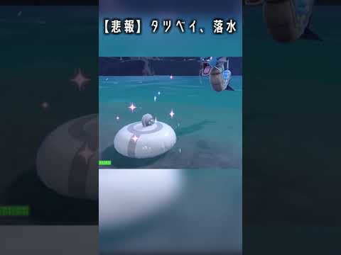 【悲報】タツベイさん、落水してしまう【ポケットモンスター スカーレット・バイオレット】