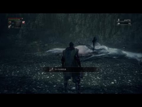 レベル4 NG+6 ゴースの遺子 ×ボタン､血晶石禁止