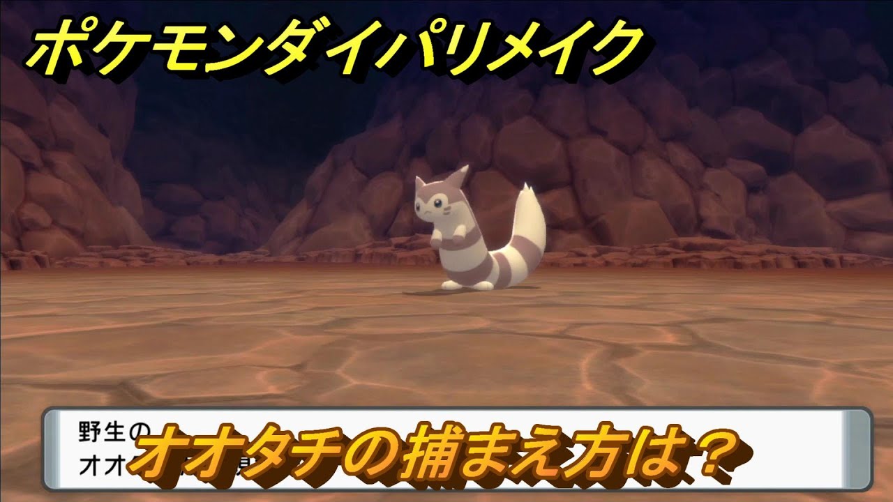 ポケモンダイパリメイク　オオタチの捕まえ方は？出現場所は？　最新版【ブリリアントダイヤモンド・シャイニングパール】