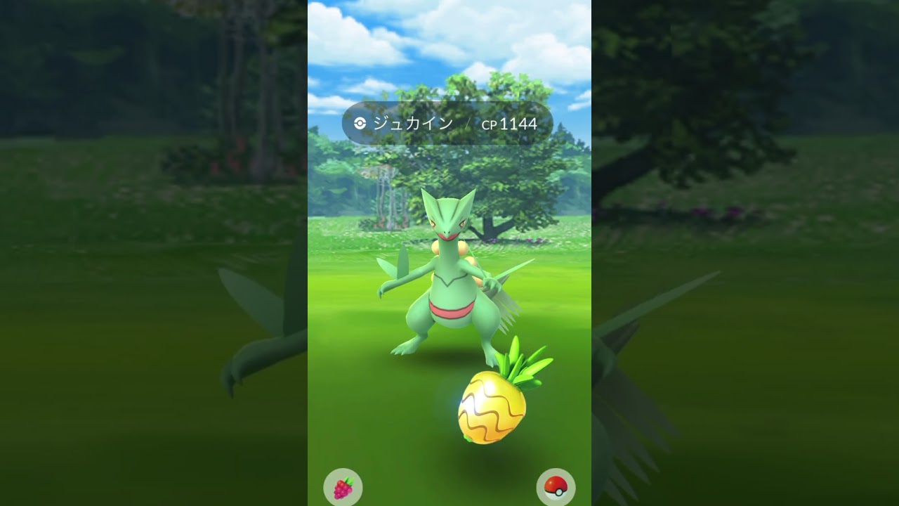 【ポケモンGO】吉野家　パートナーリサーチ　ジュカイン　ゲット　1個目のタスク　pokemon