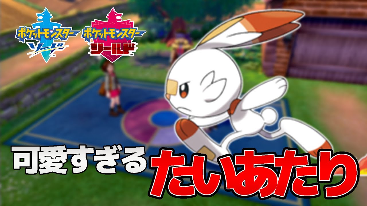 ヒバニーのたいあたりが可愛すぎる #Shorts【ポケモン剣盾 ポケセン禁止縛り】