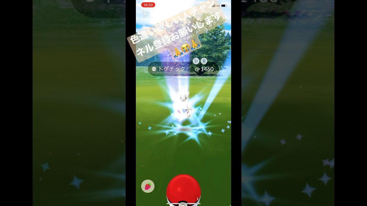 トゲチックの色違い！！⭐︎3！ #shorts #short #ytshorts #ポケモン #ポケットモンスター #ポケgo #色違い #pokemon #pokemongo #ポケモンgo