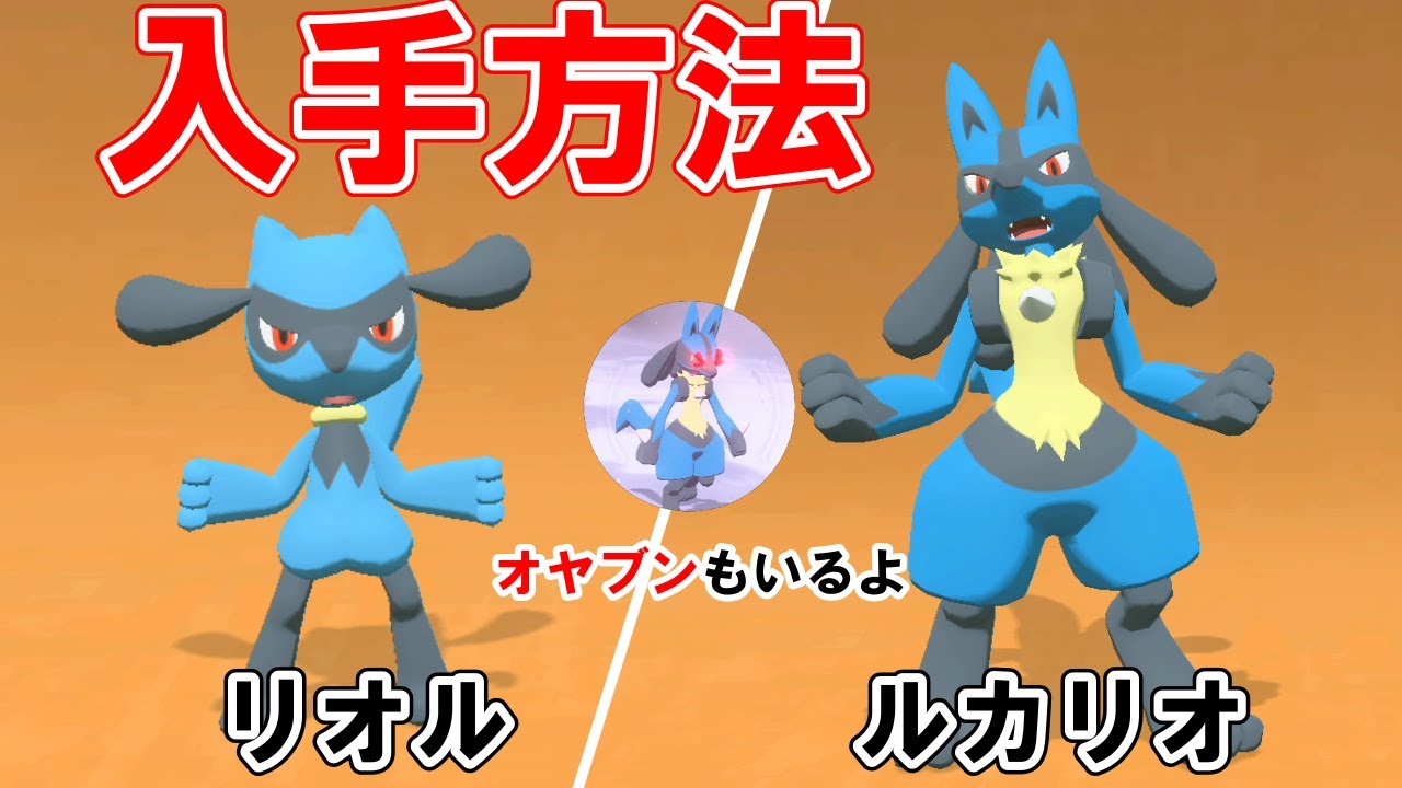 【生息地と入手方法】リオル/ルカリオの捕まえ方・進化方法【ポケモンレジェンズアルセウス】
