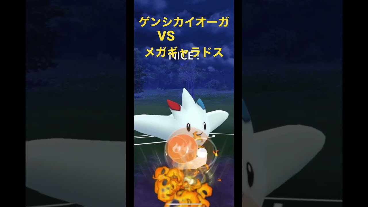 ゲンシカイオーガ VS メガギャラドス【Primal Kyogre VS Mega Gyarados】