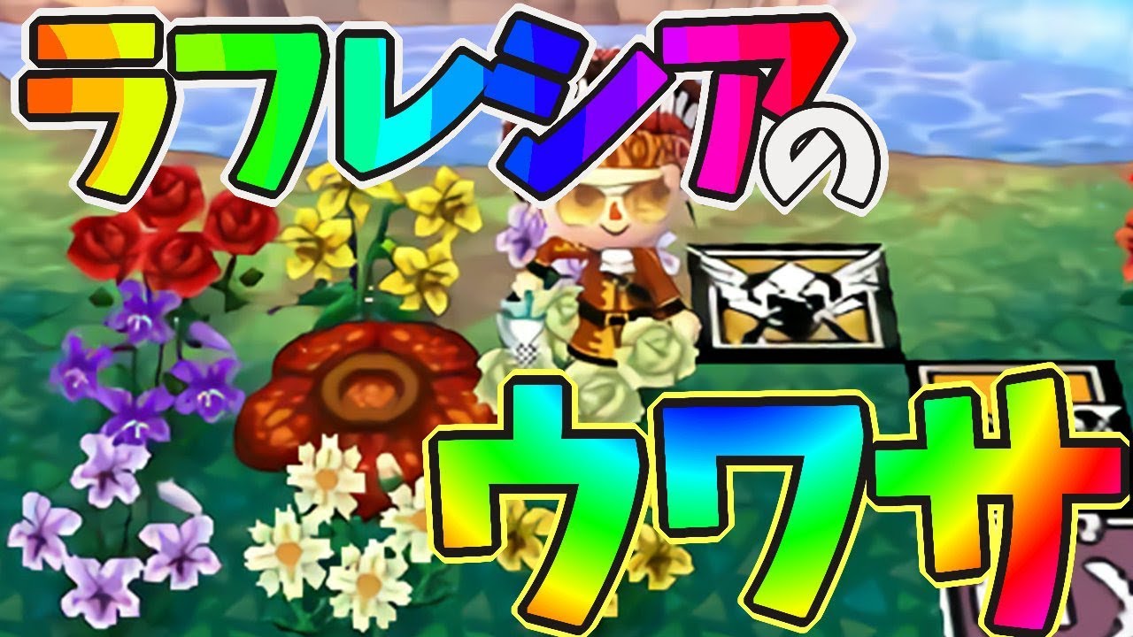 [とびだせどうぶつの森amiibo＋]ラフレシアのウワサ☆あることをすると…[ママ実況]