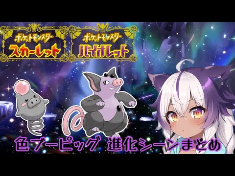 【ポケモンSV】色違いバネブー → ブーピッグ【ポケットモンスタースカーレットヴァイオレット】