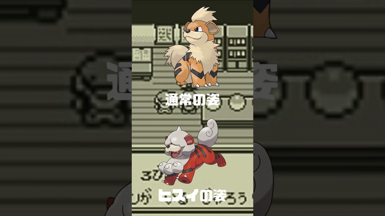 Ｎｏ．0058 ガーディ【ポケモン図鑑】 #shorts   #ポケモン　#pokemon