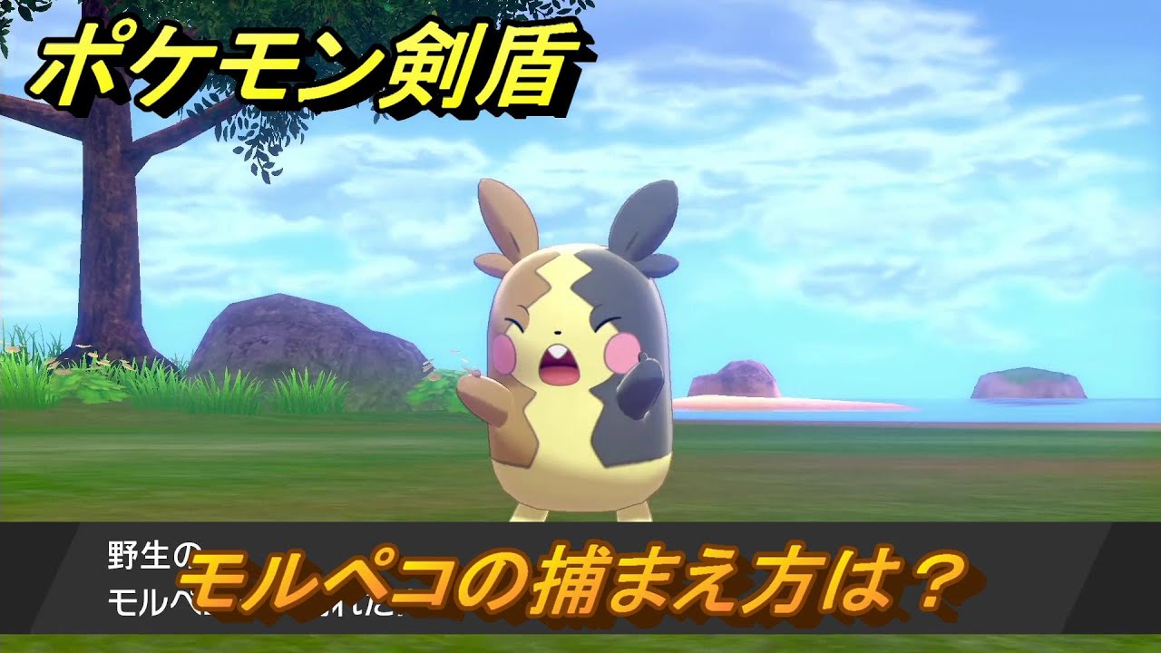 ポケモン剣盾　モルペコの出現場所は？オススメの場所は？天気は？ポケモン図鑑コンプへの道！　最新版【ポケモンソード・シールド】