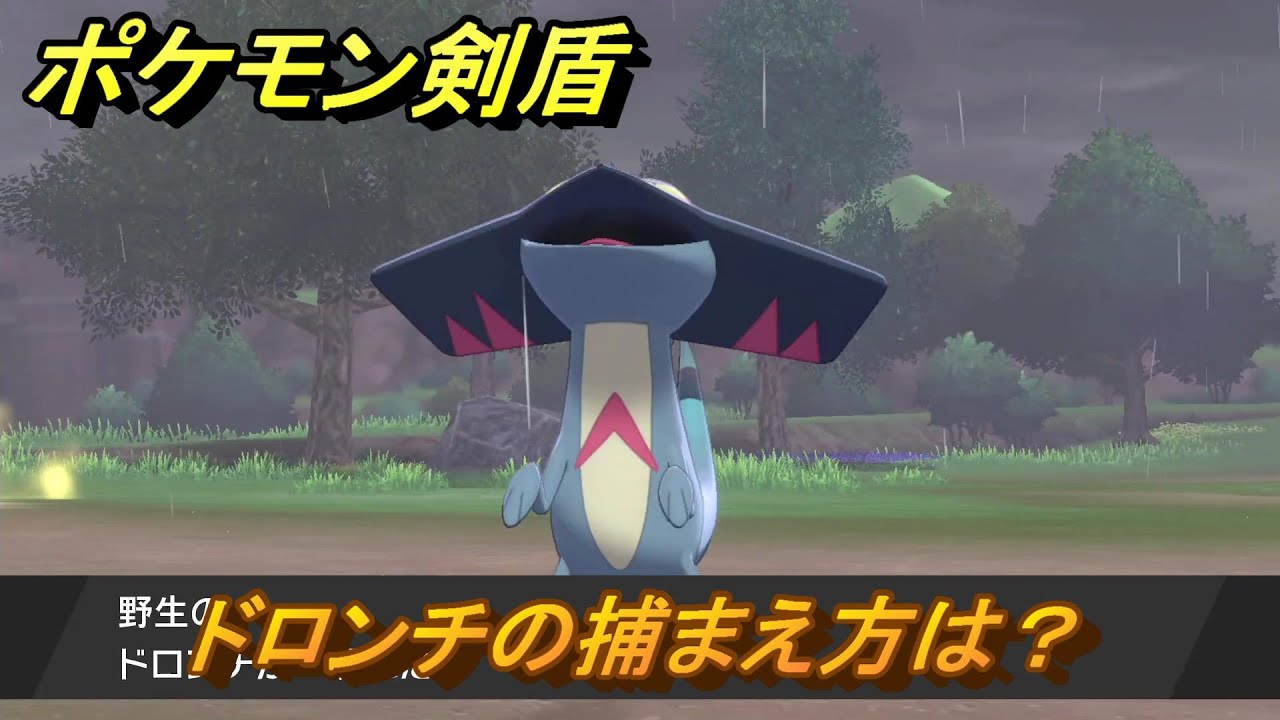 ポケモン剣盾　ドロンチの出現場所は？オススメの場所は？天気は？ポケモン図鑑コンプへの道！　最新版【ポケモンソード・シールド】