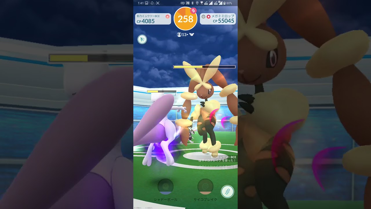 【ポケGO 2021】212：13人レイド「メガミミロップ(けたぐり・きあいだま)」[01:18]招待(フランス
