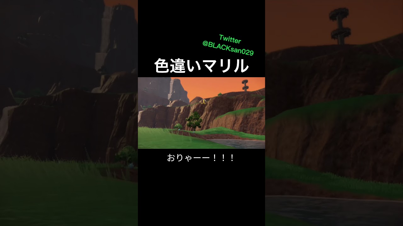 【ポケモンSV】色違いマリル、マリルリを求めて #ポケモンSV #ポケットモンスター #色違い #色違い厳選 #マリル #マリルリ #shorts