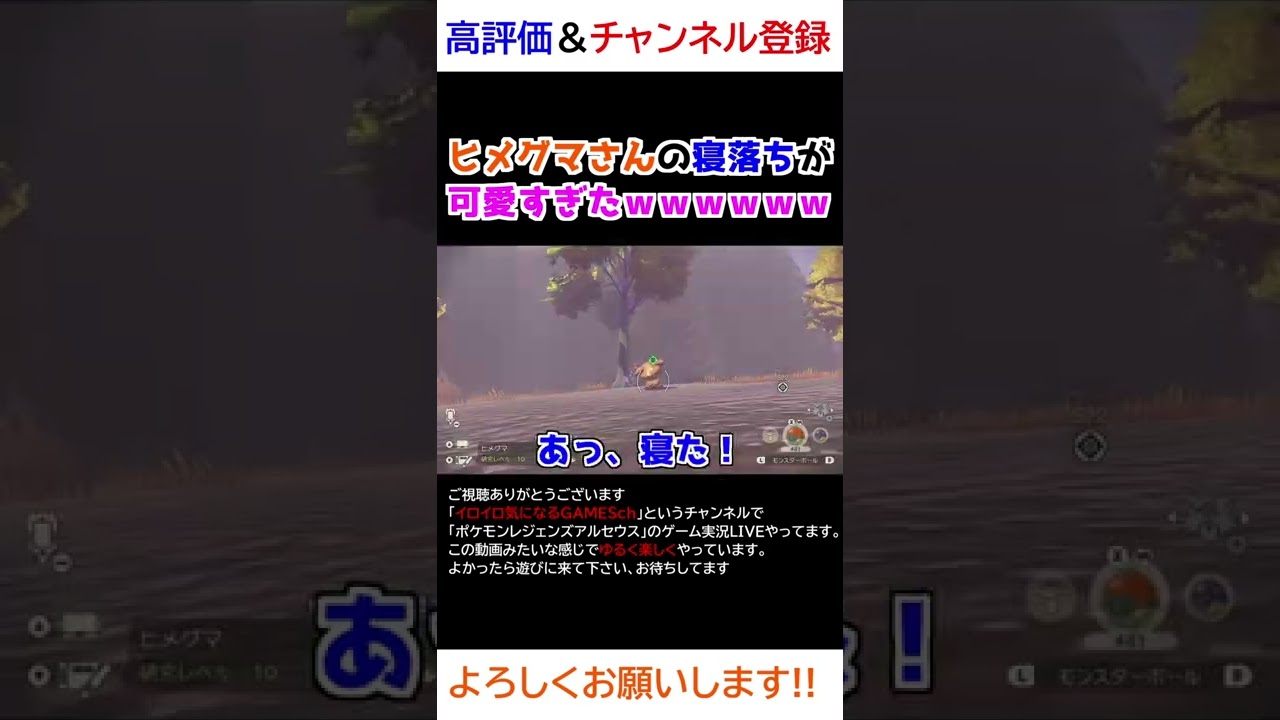 ヒメグマさんの寝落ちが可愛すぎるｗｗｗ【Pokémon LEGENDS アルセウス】