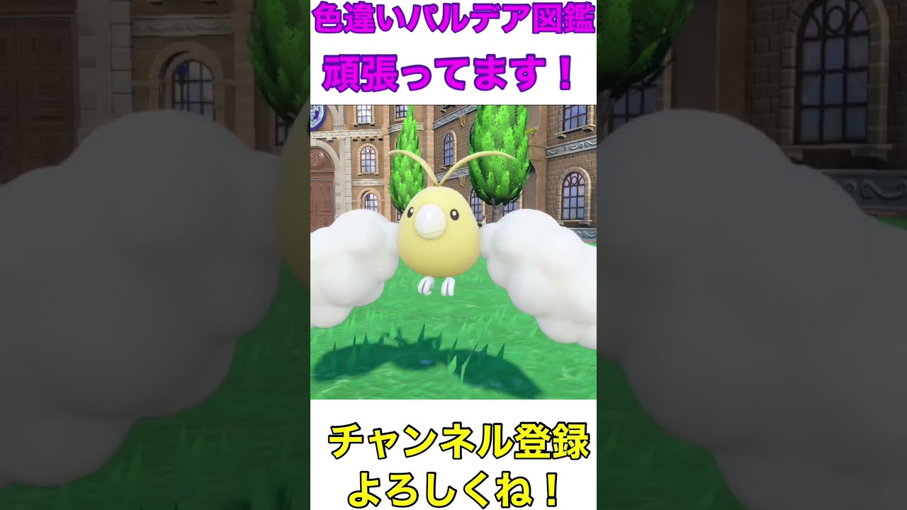 美しい歌声を持つ小鳥🕊 #ポケモンsv #pokemon #色違い #short #チルット#チルタリス#shorts