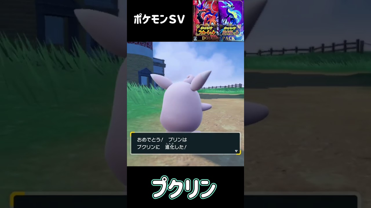 プリン進化　ププリン進化　プクリン　ポケモンSV #pokemon