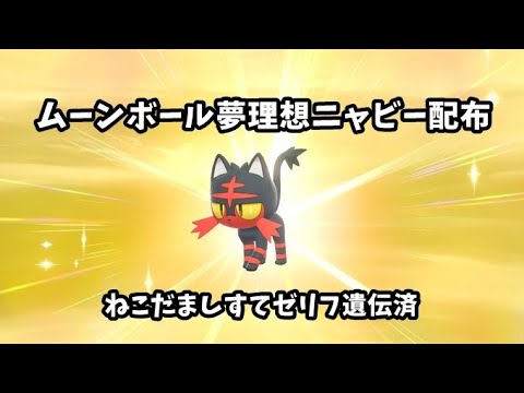 [ポケモン剣盾]ニャビー配布(ポケモン交換会)