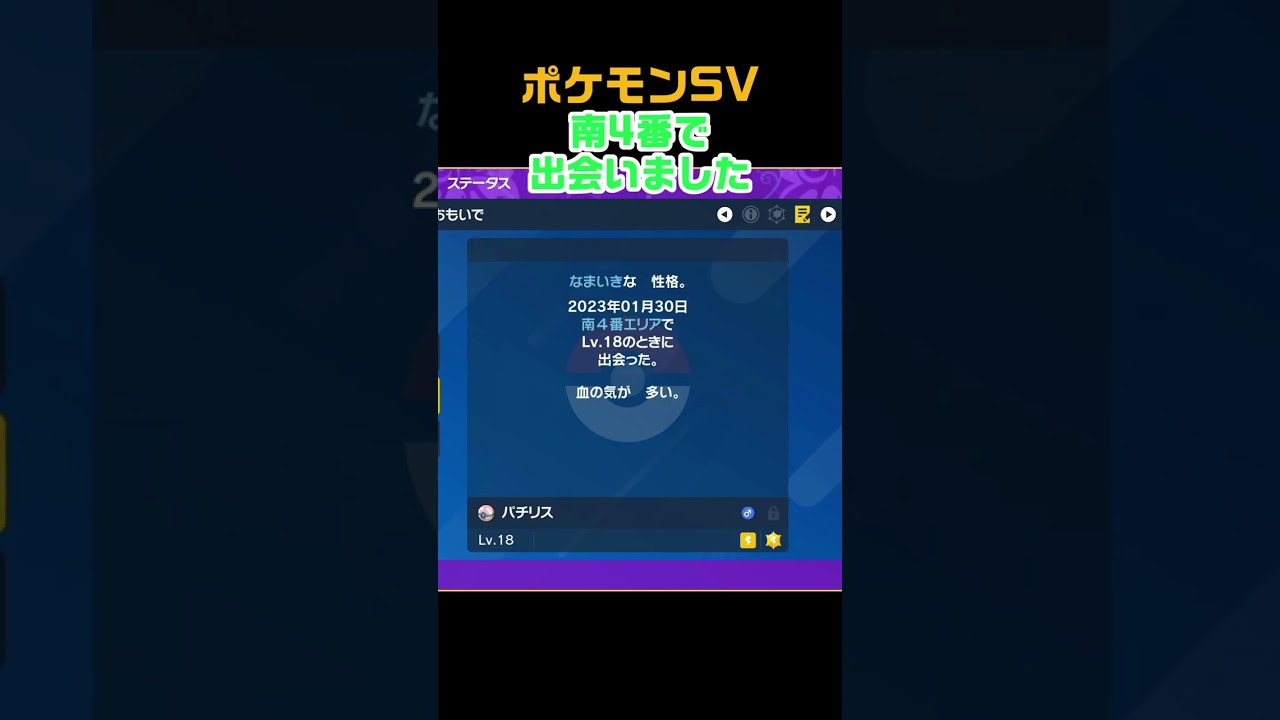 色違いパチリス　#shorts　ポケモンSV