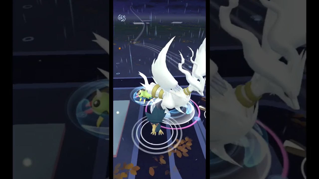 野生のレシラム #ポケモンgo #ゾロア