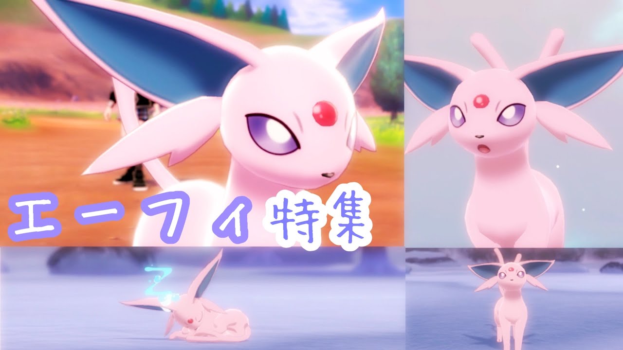 【ポケモンキャンプ#22】可愛い &カッコいいエーフィ特集！