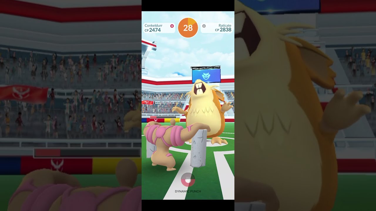 Raticate Raid Pokémon GO I (PARTY HAT) Raticate Solo Raid Bosses - ラッタ【ポケモンGO】| #MrZafior