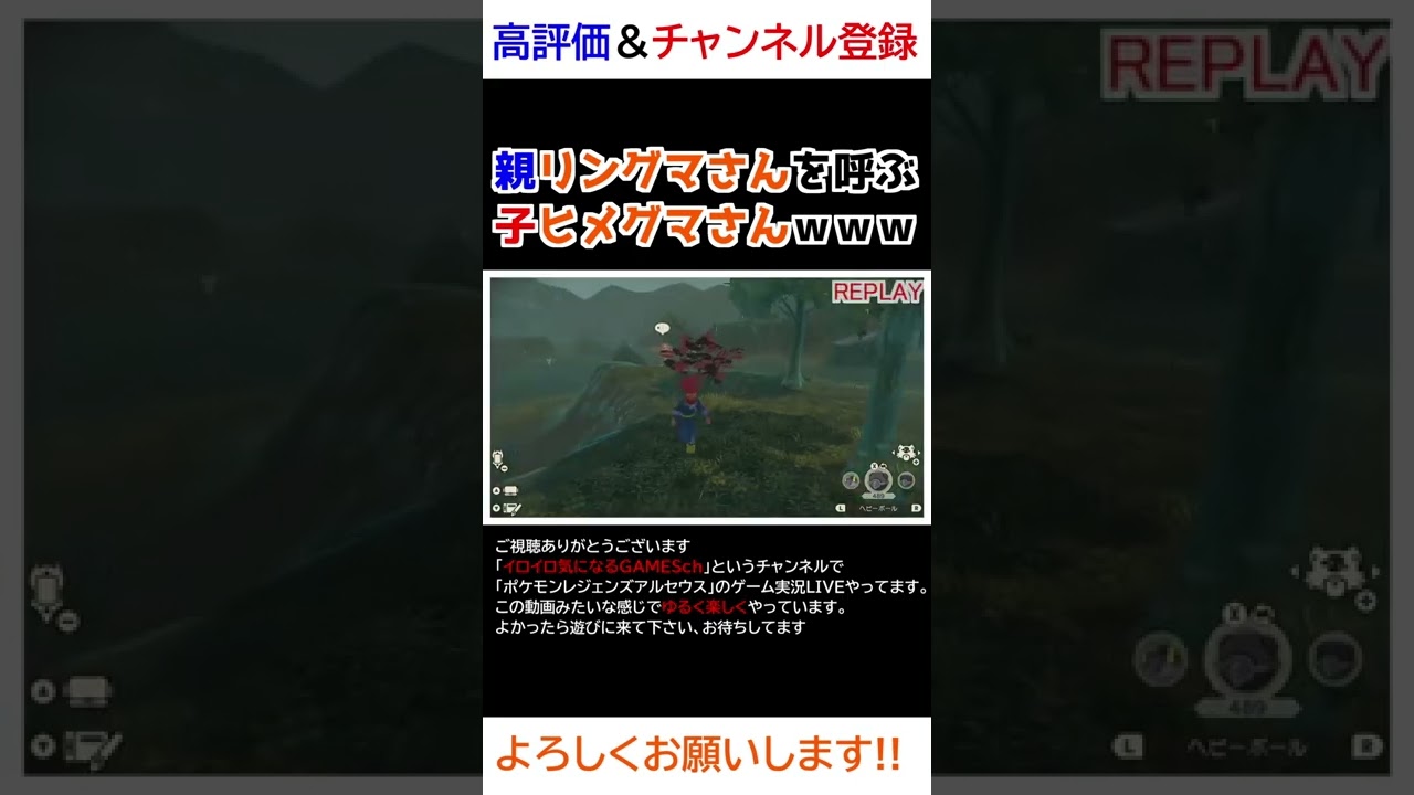 親のリングマさんを呼ぶ子ヒメグマさんｗｗｗ【Pokémon LEGENDS アルセウス】【寝顔ハンター】