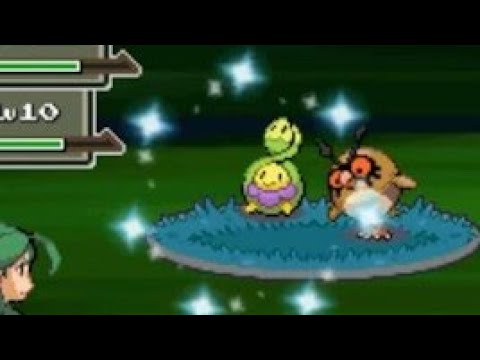 【ポケモン】色違いのスボミーを出した男【"Shorts】